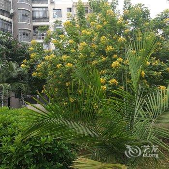 南宁郁金香春天公寓(20号店)酒店提供图片