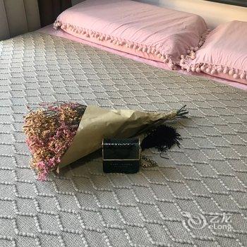 广州刘米雪儿公寓酒店提供图片