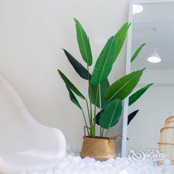 广州叮叮Christine公寓酒店提供图片