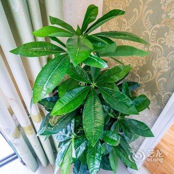 成都未来更好公寓酒店提供图片