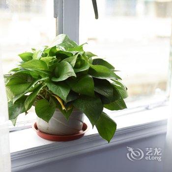南方小哥公寓(上海泾南新村店)酒店提供图片