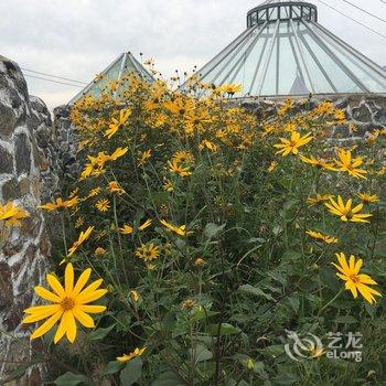 额尔古纳和林格尔旅游部落酒店提供图片