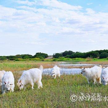 额济纳旗沙日淖尔水库牧家游民宿酒店提供图片