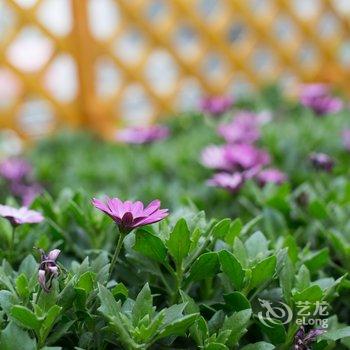 昆明滇池度假区闲庭飞花主题客栈酒店提供图片