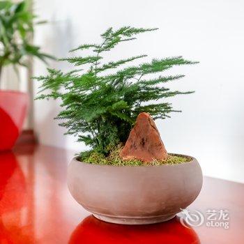 北京忆王府四合院酒店提供图片