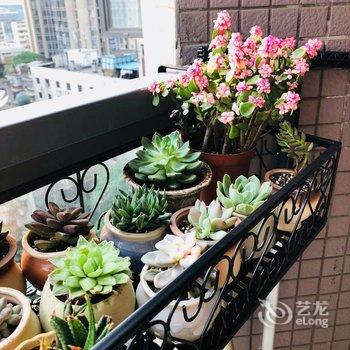 成都Sean大龄少年公寓(儿童乐园分店)酒店提供图片