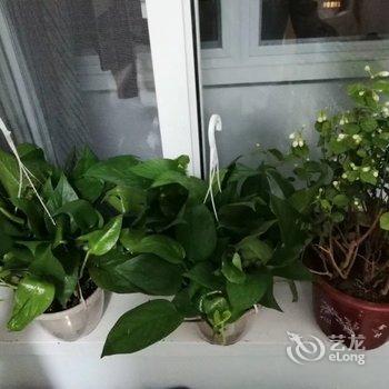 北京滨水绿道青年旅舍酒店提供图片