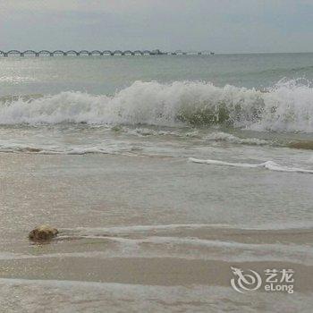 北海涠洲岛1031小院酒店提供图片