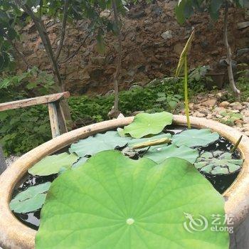 野三坡在山家民宿酒店提供图片