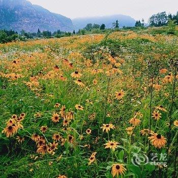 恩施义辉客栈酒店提供图片