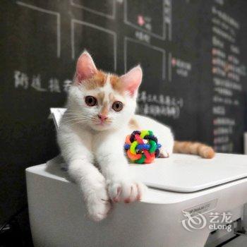 舟山心屿青年旅舍酒店提供图片