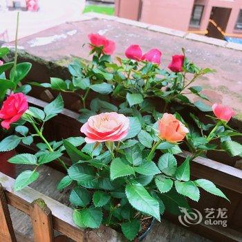 成都漫屿公寓(犀安路分店)酒店提供图片