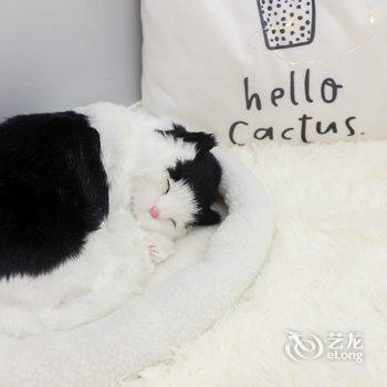 成都司雪冰公寓(丽都路分店)酒店提供图片