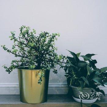 伊巢公寓(上海阮玲玉故居店)酒店提供图片