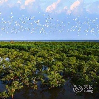 迦南美地海景公寓(北海红树林店)酒店提供图片