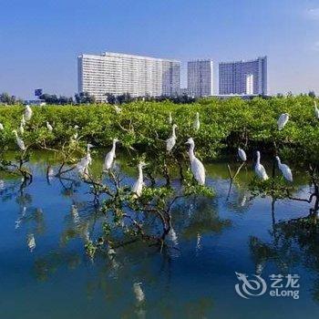 迦南美地海景公寓(北海红树林店)酒店提供图片