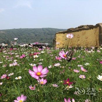 苏州松月山房民宿酒店提供图片