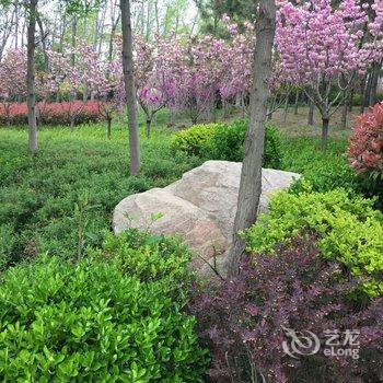 青岛钰钰妈公寓酒店提供图片