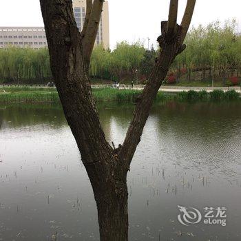 青岛钰钰妈公寓酒店提供图片