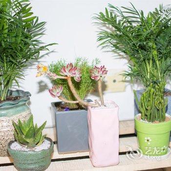 西安就叫咩咩公寓酒店提供图片