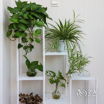 成都静静一公寓酒店提供图片