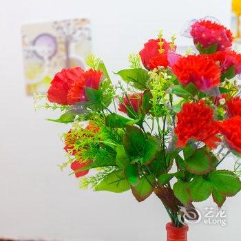 西安温馨之家星星民宿(桃园路分店)酒店提供图片