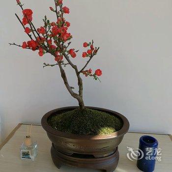WE·爱主题民宿(北京楼阁店)酒店提供图片