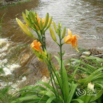 WE·爱主题民宿(北京楼阁店)酒店提供图片