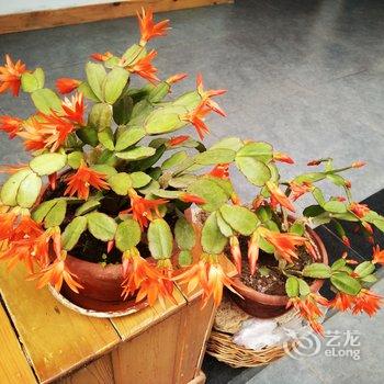 WE·爱主题民宿(北京楼阁店)酒店提供图片