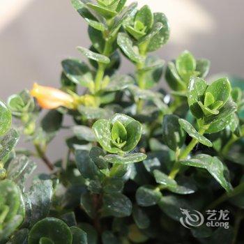 WE·爱主题民宿(北京楼阁店)酒店提供图片