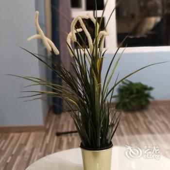 重庆夜漠公寓(8号店)酒店提供图片