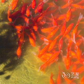 龙庆峡映景民宿酒店提供图片