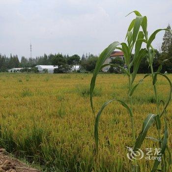 上海元桃民宿酒店提供图片