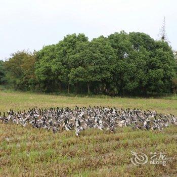 上海元桃民宿酒店提供图片