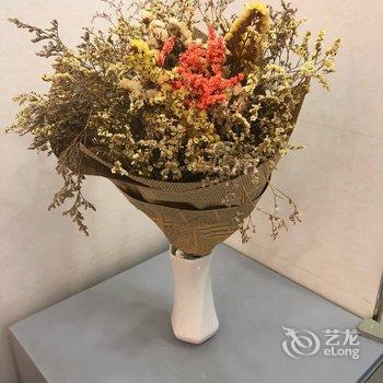 成都五星民宿西南石油大学/酒店提供图片