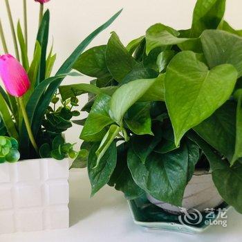 成都馍茗堂主公寓酒店提供图片