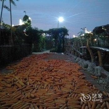 连州紫荆庄园酒店提供图片