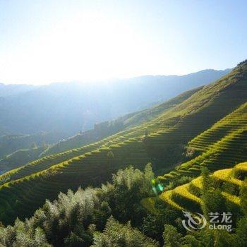 龙胜枫叶客栈酒店提供图片