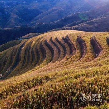 龙胜枫叶客栈酒店提供图片