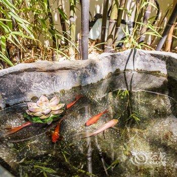 苏州苏香小院客栈酒店提供图片