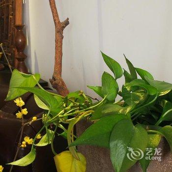 重庆且逍遥公寓酒店提供图片