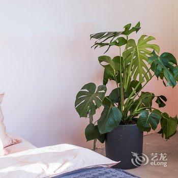 重庆Chen初生家公寓(5号店)酒店提供图片