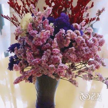重庆艾薇公寓酒店提供图片