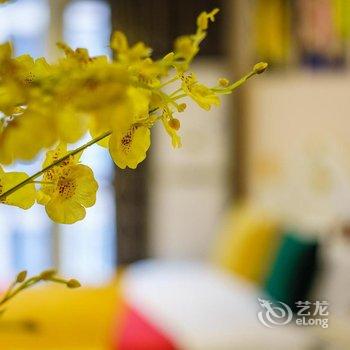 重庆小～明公寓酒店提供图片