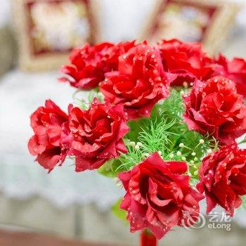 西安佳悦家居民宿酒店提供图片
