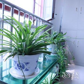 青岛海狼1号公寓酒店提供图片