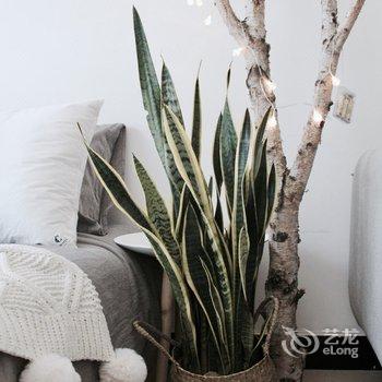 重庆boboann公寓(天主教若瑟堂分店)酒店提供图片