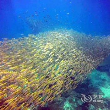 北海涠洲小马哥客栈酒店提供图片