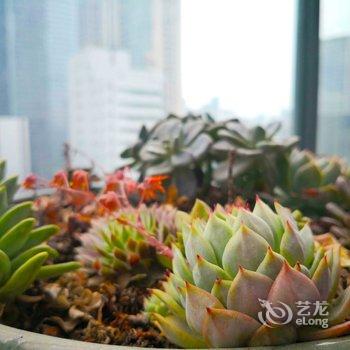 成都CD-TWO公寓酒店提供图片