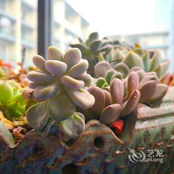 成都CD-TWO公寓酒店提供图片